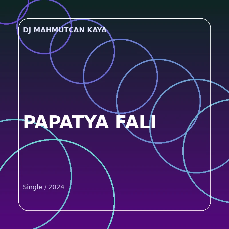 Papatya Falı single kapak tasarımı